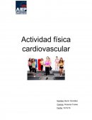 Actividad física cardiovascular