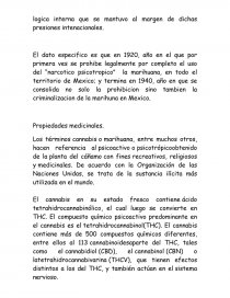 TEMA : CANNABIS “DEBATE” LEGALIZACION. Página 5