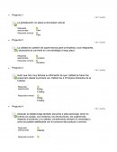 La globalización no ataca la diversidad cultural.