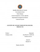 Gestion de los Recursos Humanos del Proyecto.