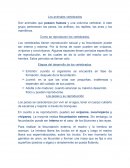 Los animales vertebrados.