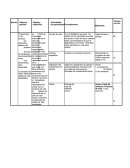 Cronograma plan de vida.