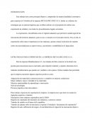 ESTRATEGIAS PARA EXPORTAR DE LA EMPRESA METALMECANICA S.A.