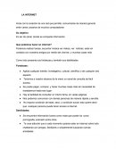 ENSAYO - LA INTERNET