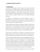 Vinculacion FUNDAMENTACIÓN DEL PROYECTO