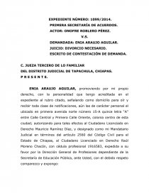 JUICIO: DIVORCIO NECESARIO.. Página 1