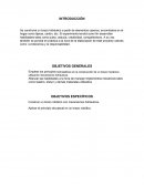 LABORATORIO DEL CURSO DE FISICA.