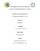 SINDROME DE MEDULA FIJA