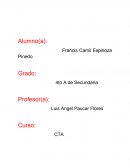 ¿Qué tienen en común el sistema nervioso y el sistema endocrino?