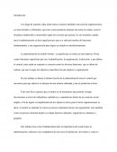 IMPORTANCIA DEL CONTROL