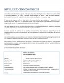 NIVELES SOCIOECONÓMICOS.