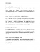 Ensenada Baja California (Pata de perro)