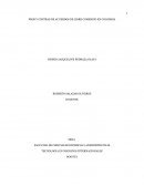 TECNOLOGIA EN NEGOCIOS INTERNACIONALES