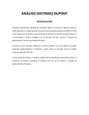 ANÁLISIS (SISTEMA) DUPONT
