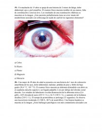 Preguntas de Anatopatologia.. Página 1