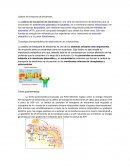 Cadena de transporte de electrones: