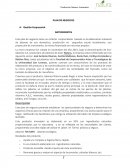 Plan de Negocio Jabon Natura.