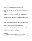 INFORME DE REVISIÓN DE INGRESOS DE PERSONAS NATURALES.