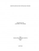 Identificación de punto criticas