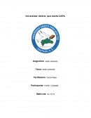 Medio ambiente . Investiga en libro de texto básico y fuentes electrónicas.