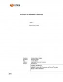 Caso “Boston Duck Tours”