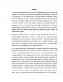 Ensayo sobre plan estrategico.