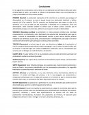 Terminos generales penales.