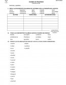 UBICA LAS SIGUIENTES PALABRAS DE ACUERDO CON LA POSICIÓN DEL ACENTO.