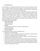 Las responsabilidades centrales de la oficina en Washington incluyen.