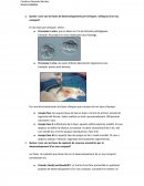 Trabajo de microbiologia industrial.