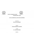 PROCESO GUIA DE VALORACION POR DOMINIOS Y CLASES NEUMONIA.