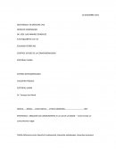 CONTROL DIFUSO DE LA CONVENSIONALIDAD