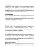 Actitud docente en labores educativas.