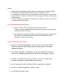 Filosofia - Reseña.