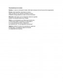 Realista: no debe ser demasiado amplia, debe estar al alcance de los recursos de la organización..