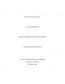 BUILDING SOCIAL BUSINESS