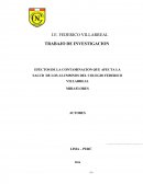 TRABAJO DE INVESTIGACION EFECTOS DE LA CONTAMINACION QUE AFECTA LA SALUD DE LOS ALUMMNOS DEL COLEGIO FEDERICO VILLARREAL