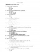 Autoevaluación de Excel.