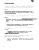 Análisis del proyecto de investigación sobre la capa de ozono