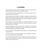 IMPORTANCIA DE LA PRUEBA EN EL PROCESO CIVIL