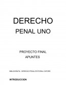 DERECHO PENAL UNO PROYECTO FINAL