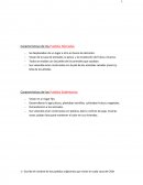 Caracterìsticas de los Pueblos Nòmadas