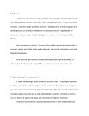 Principios que rigen el proceso civil en la Republica Dominicana