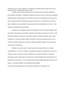 El proceso de aprendizaje.