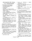 Micobacterium Tuberculosis.