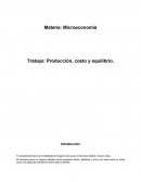 Producción, costo y equilibrio.