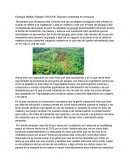 Ecología Steffan Padgett 31551278 Situacion ambiental en honduras