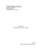 Responsabilidad en el Liderazgo.