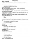 GUÍA DERECHO CIVIL- TEMA 02 – LA CODIFICACIÓN.