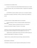 La nutrición en los seres vivos - Resumen.